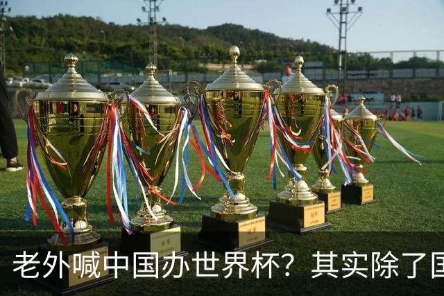 老外喊中国办世界杯？其实除了国足，能到的都到了